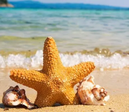 Apartmán Summer Janet