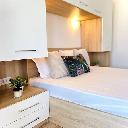 Summer Janet * オブゾー