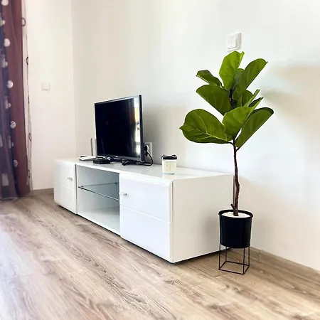 Summer Janet オブゾー