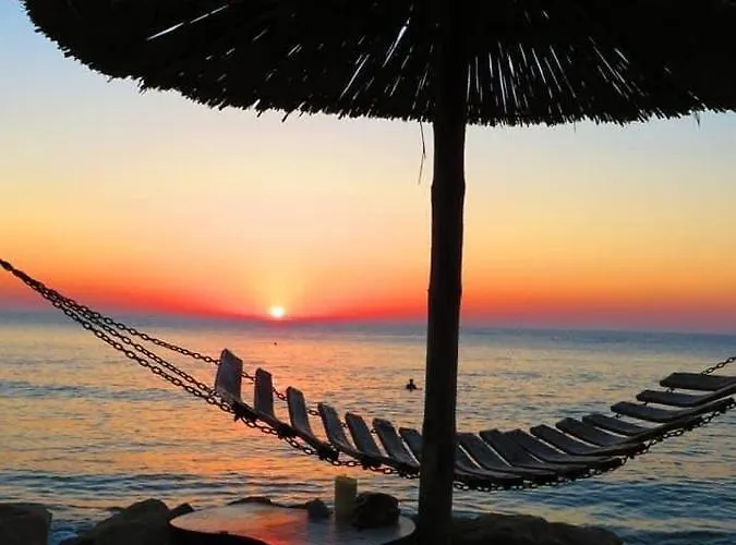 Summer Janet Lejlighed