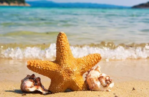 Lejlighed Summer Janet